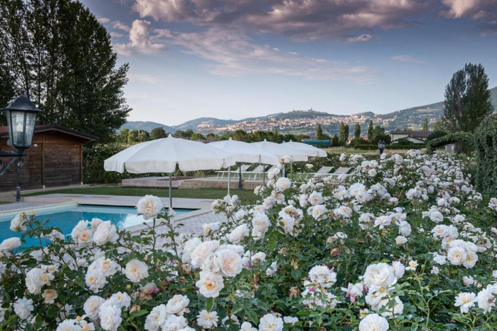 Il Fienile Di Assisi Exterior foto