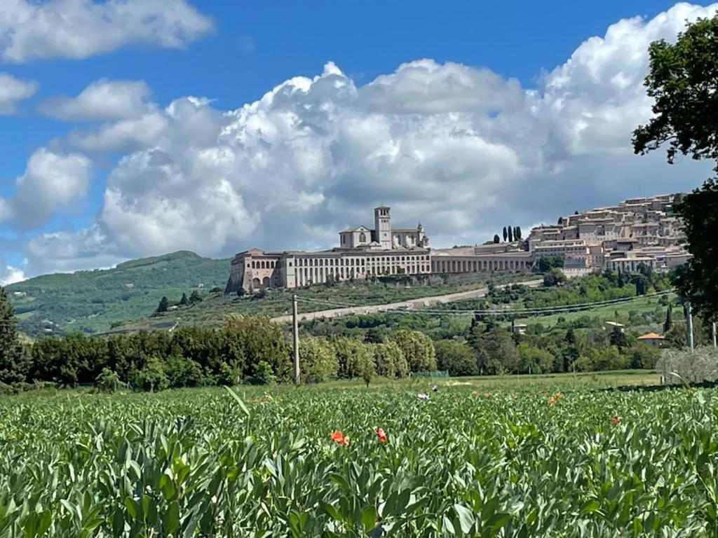 Il Fienile Di Assisi Exterior foto