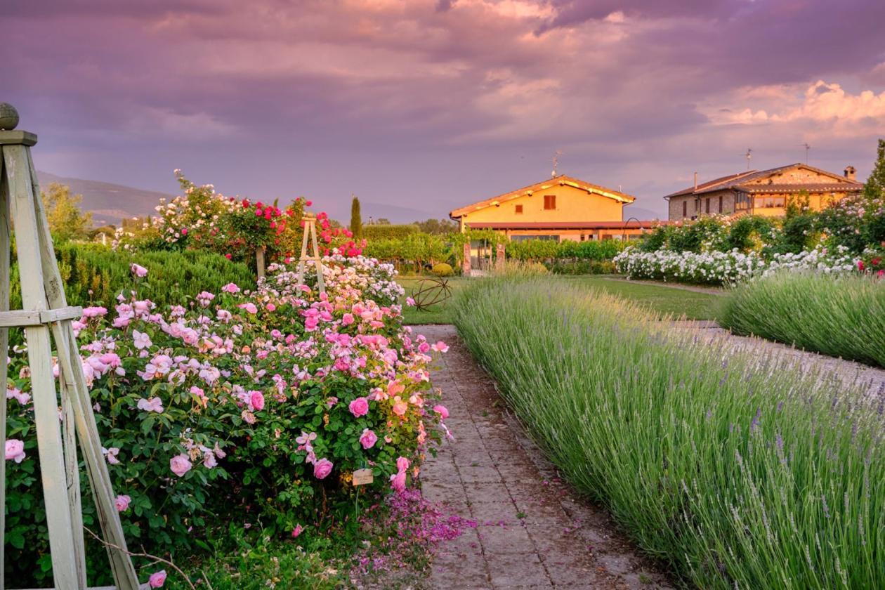 Il Fienile Di Assisi Exterior foto