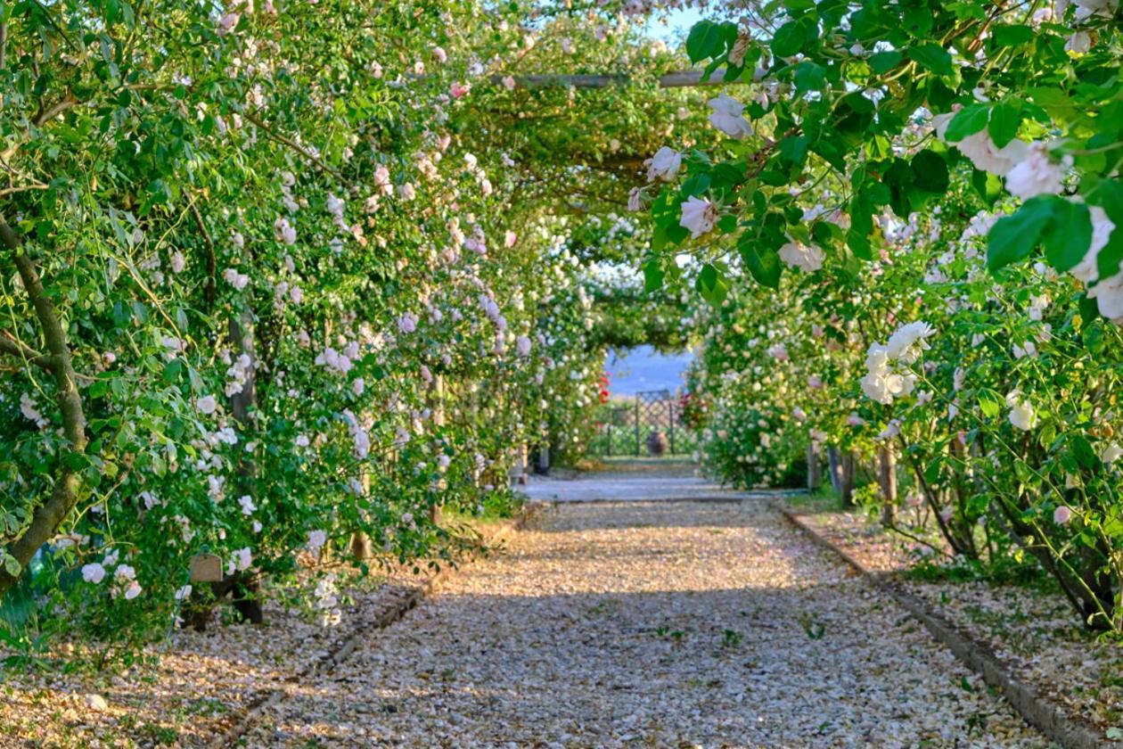 Il Fienile Di Assisi Exterior foto