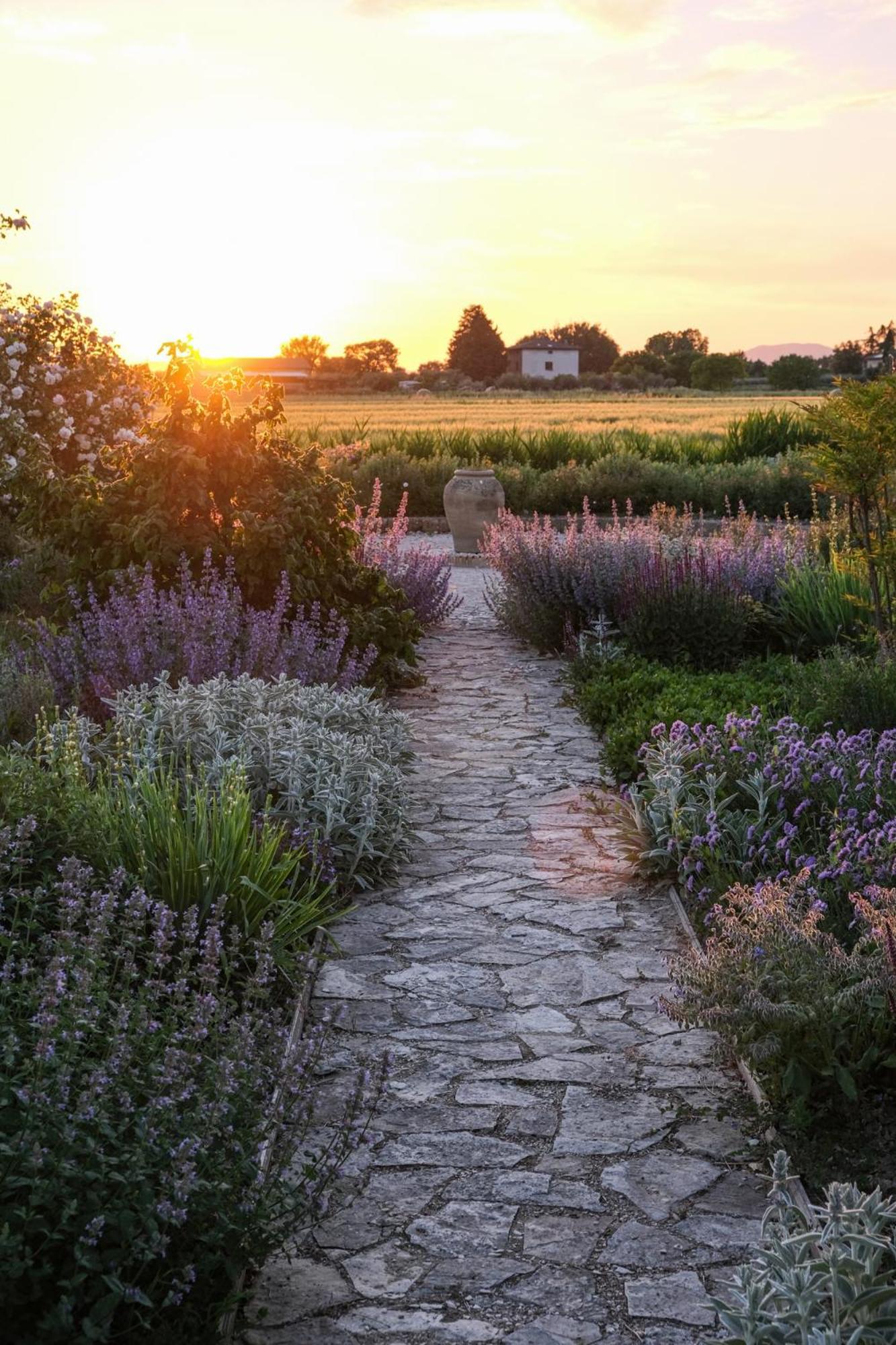 Il Fienile Di Assisi Exterior foto