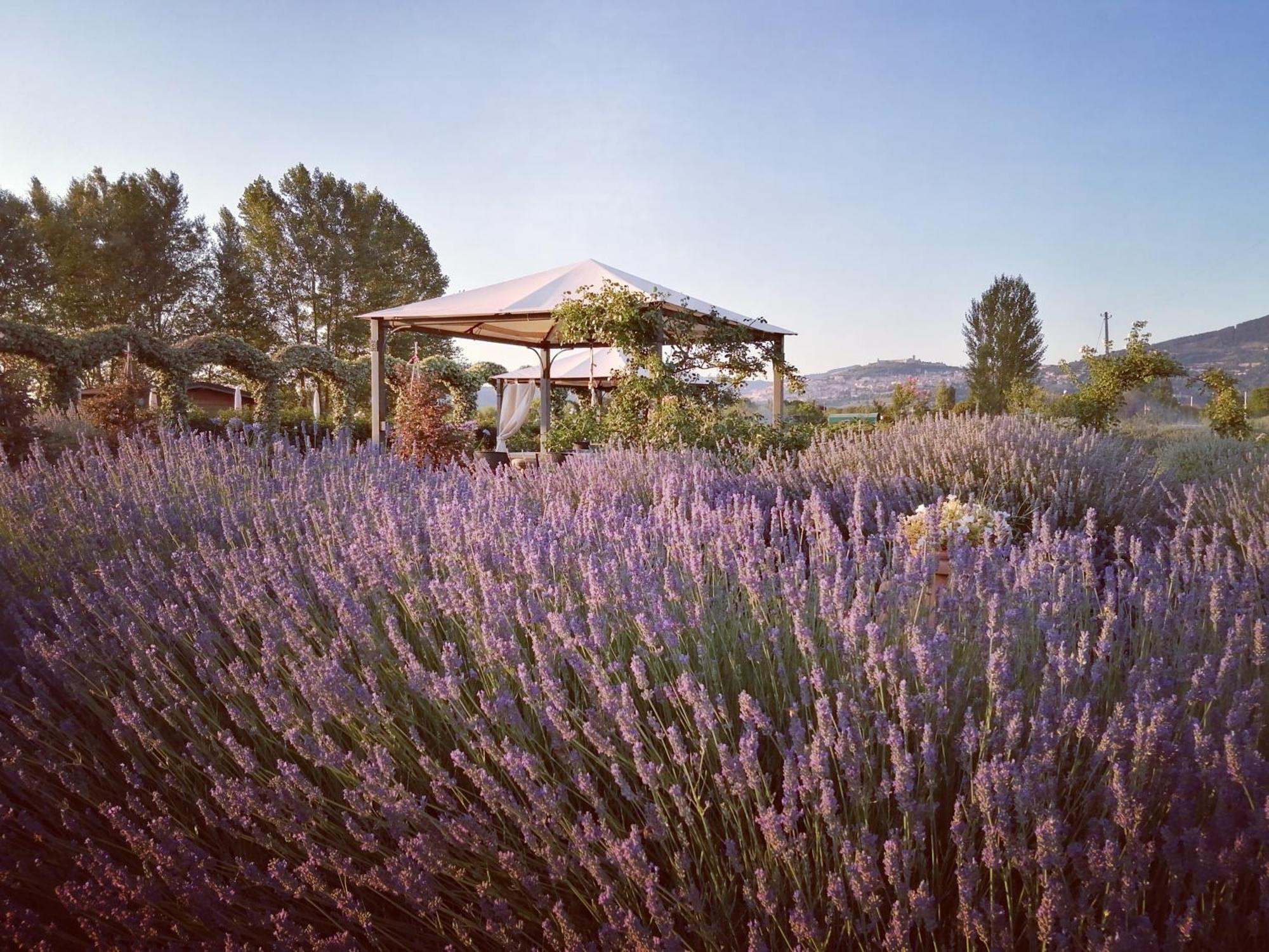 Il Fienile Di Assisi Exterior foto