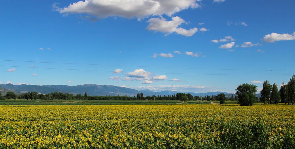 Il Fienile Di Assisi Exterior foto