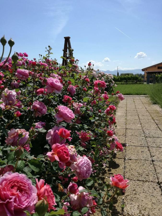 Il Fienile Di Assisi Exterior foto